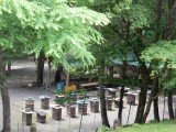 DSCN4335