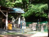 DSCN4339